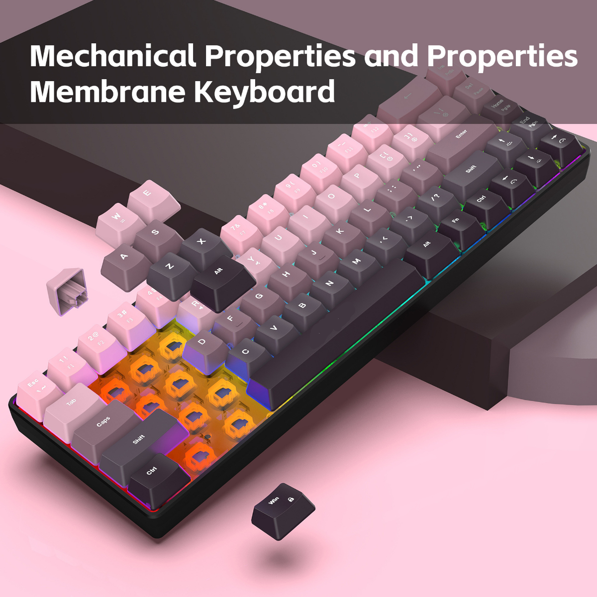 New Compact 68-Key Gradient-Co - مراجعة Gaming Keyboard Ergonomic وسعره