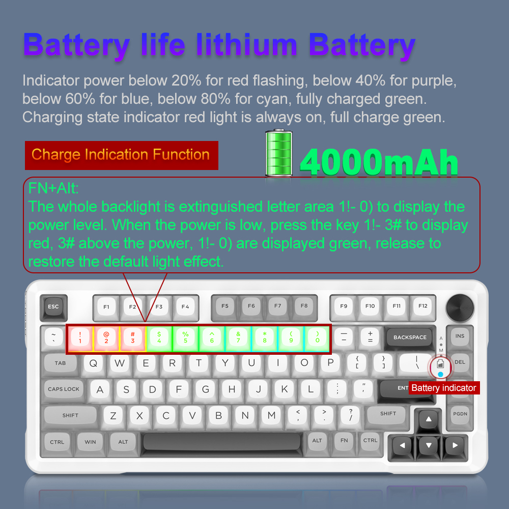 E-YOOSO RGB USB Mechanical Gam - مراجعة Gaming Keyboard E Yooso وسعره